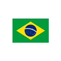 BRAZIL 로고